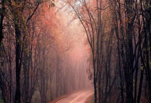 浙江人才 *** 网最新 *** 2025年,急招图书管理员一名